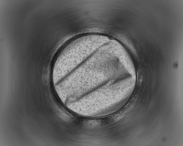 X0000099960156200806201345