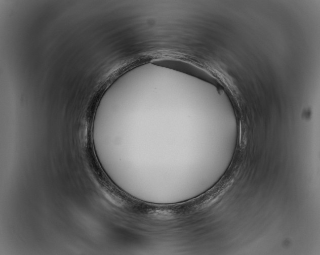 X0000099960157200806201345