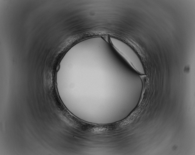 X0000099960158200806201345