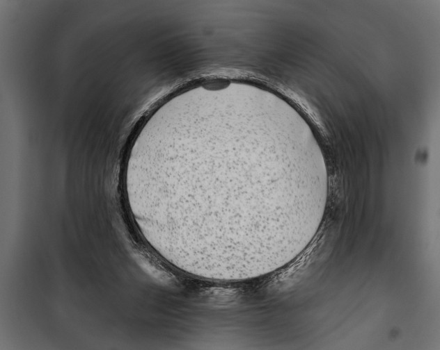 X0000099960159200806201345