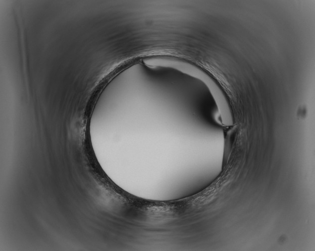 X0000099960160200806201345