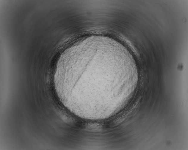 X0000099960161200806201345