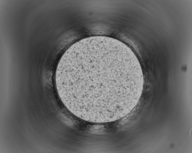 X0000099960162200806201345