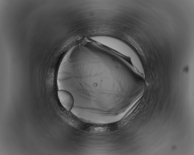 X0000099960163200806201345
