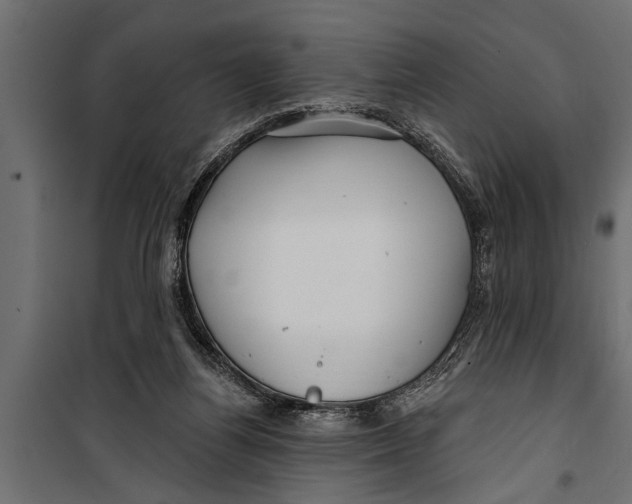 X0000099960164200806201345