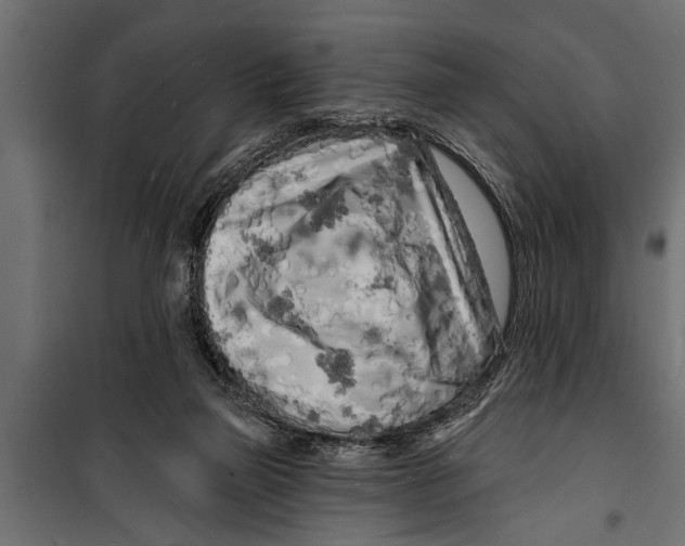 X0000099960165200806201345