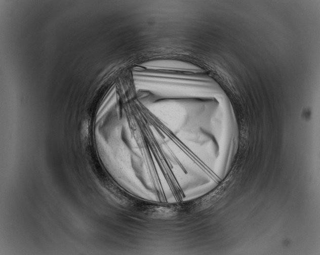 X0000099960166200806201345