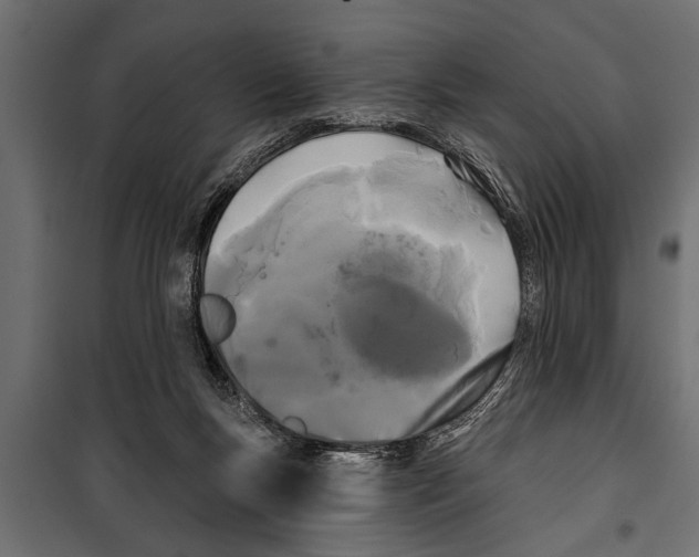 X0000099960167200806201345