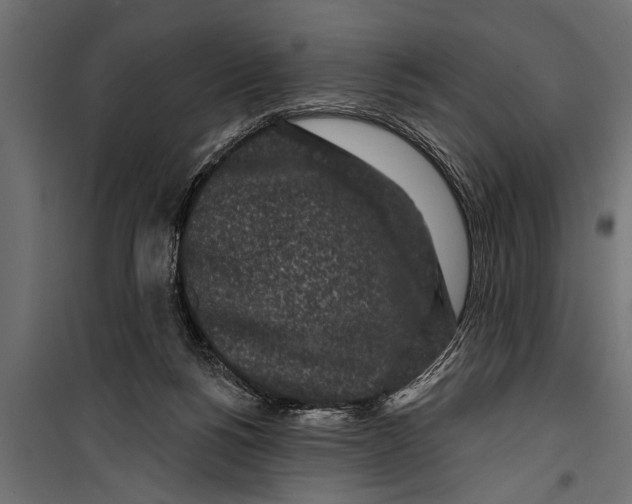 X0000099960168200806201345
