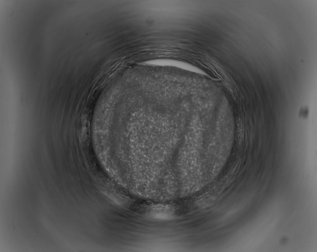 X0000099960169200806201345