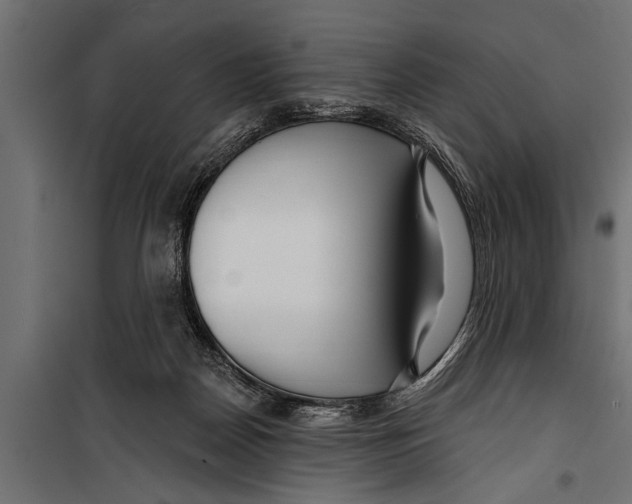 X0000099960170200806201345