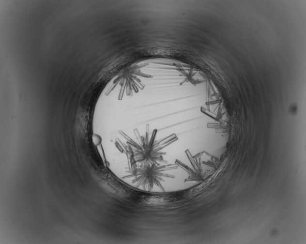 X0000099960171200806201345