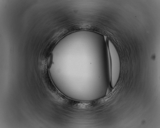X0000099960172200806201345