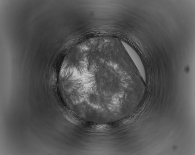 X0000099960173200806201345