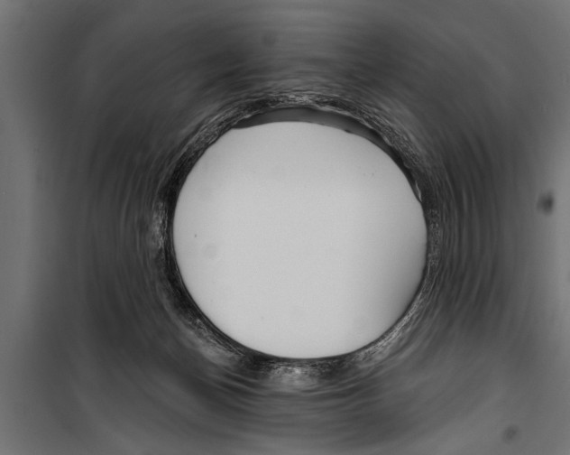 X0000099960174200806201346