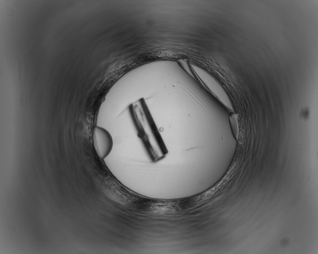 X0000099960175200806201346