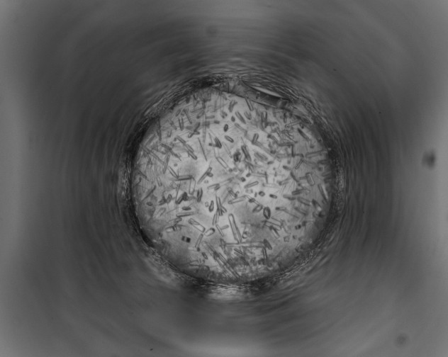 X0000099960177200806201346