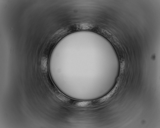 X0000099960178200806201346