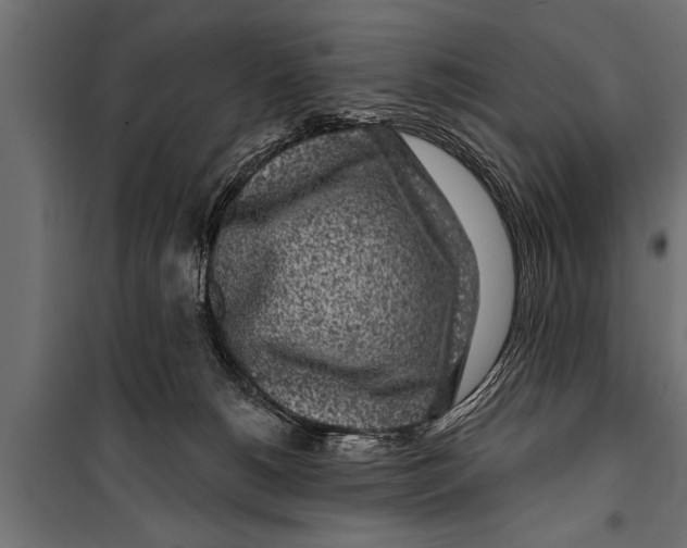 X0000099960180200806201346