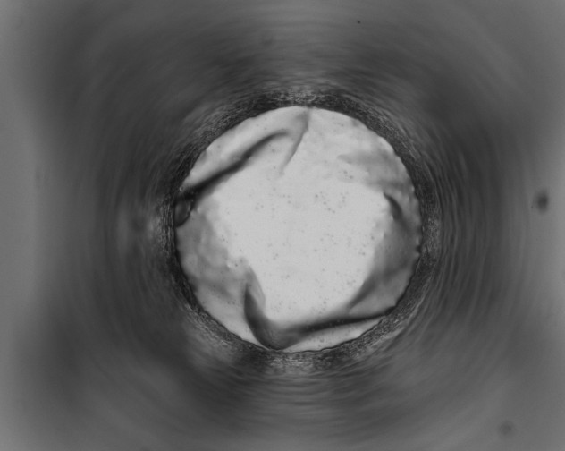 X0000099960181200806201346