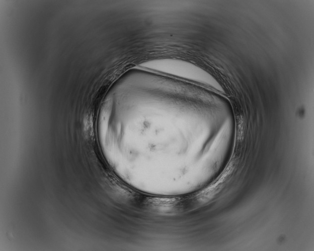 X0000099960182200806201346