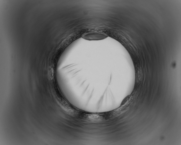 X0000099960183200806201346