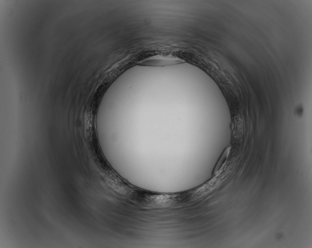 X0000099960184200806201346