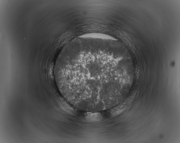 X0000099960185200806201346