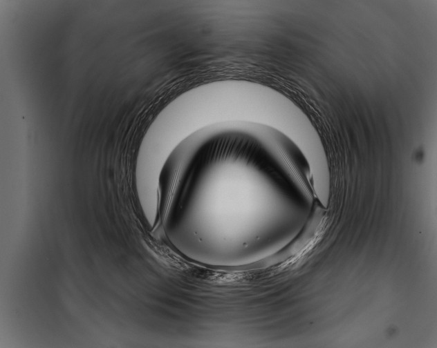 X0000099960186200806201346