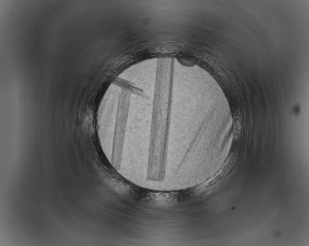 X0000099960187200806201346