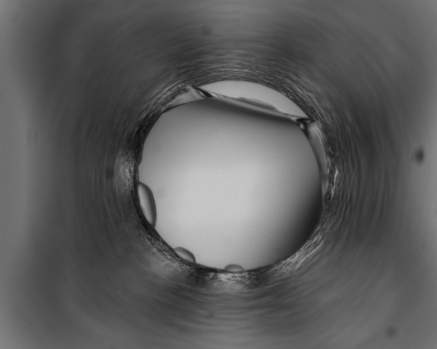 X0000099960188200806201346