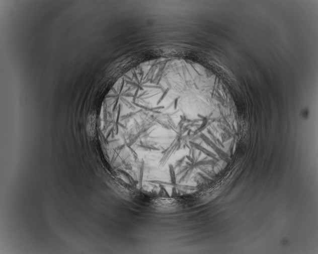 X0000099960189200806201346