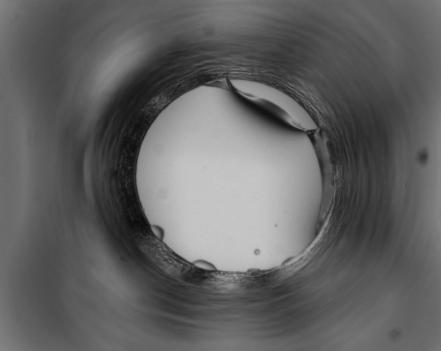 X0000099960190200806201346
