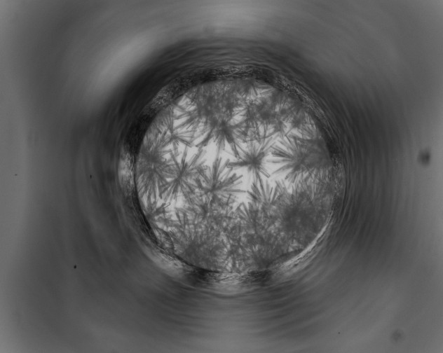 X0000099960191200806201346