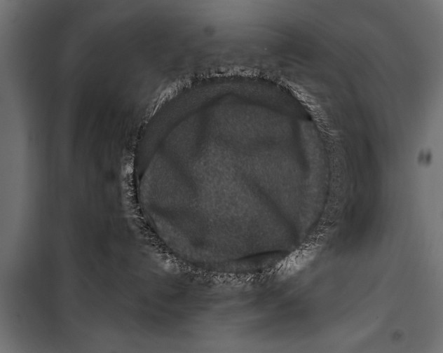 X0000099960192200806201346