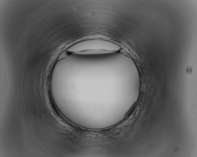 X0000099960193200806201345