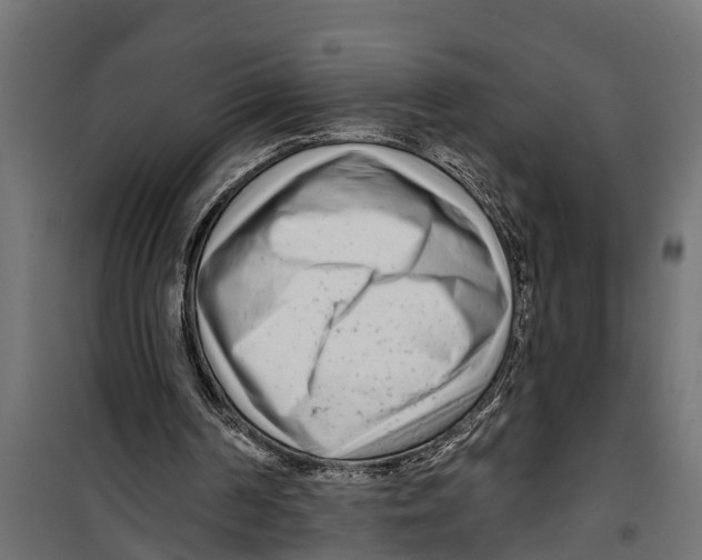 X0000099960194200806201345