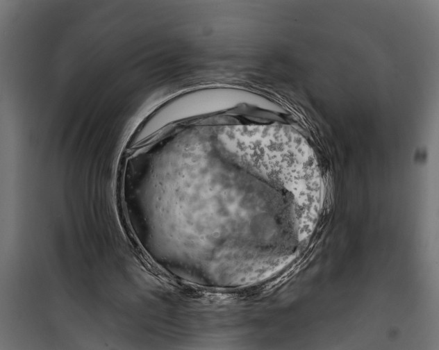 X0000099960195200806201345