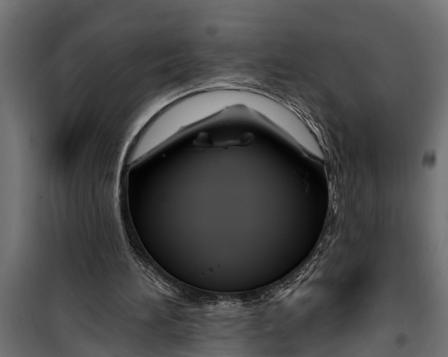 X0000099960196200806201345