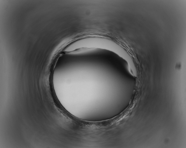 X0000099960197200806201345