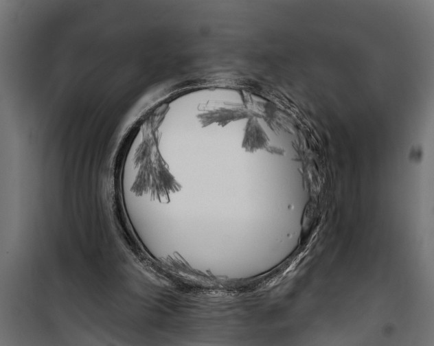 X0000099960198200806201345