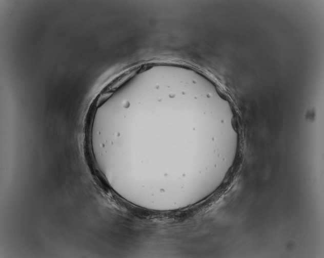 X0000099960199200806201345