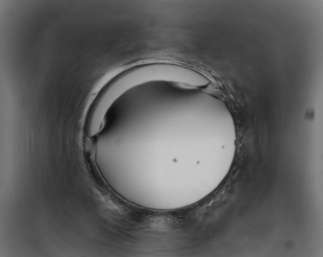 X0000099960200200806201345