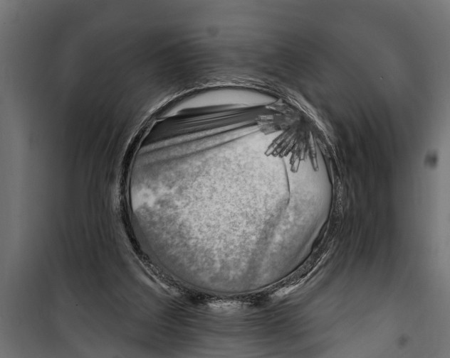 X0000099960203200806201345