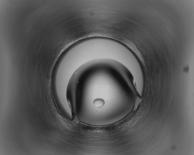 X0000099960204200806201345
