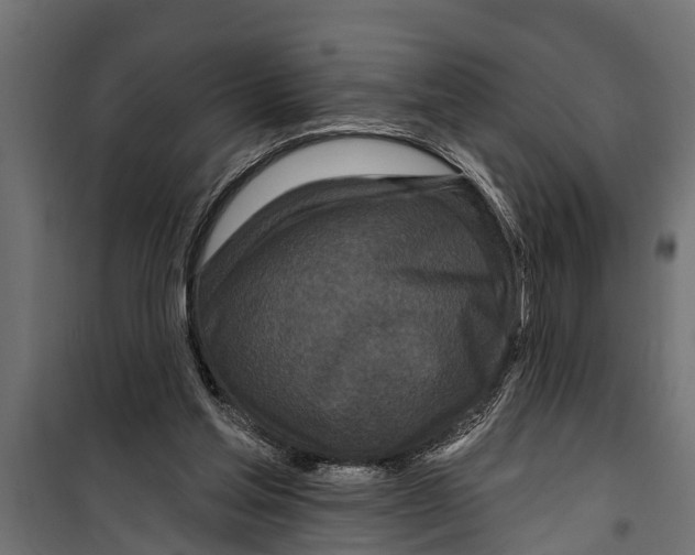 X0000099960205200806201345
