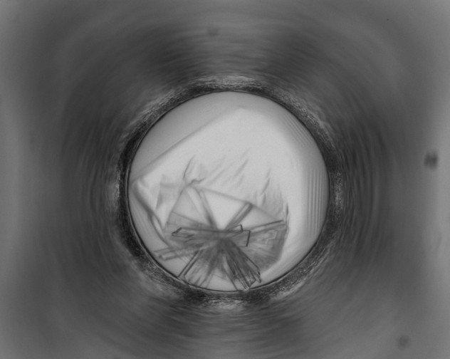 X0000099960206200806201345