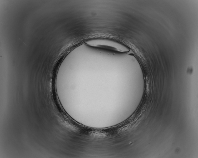 X0000099960207200806201345