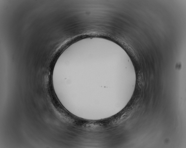 X0000099960208200806201345