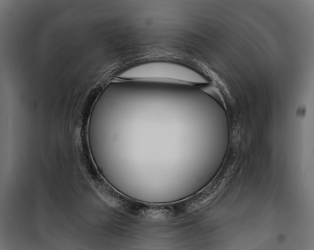 X0000099960209200806201345